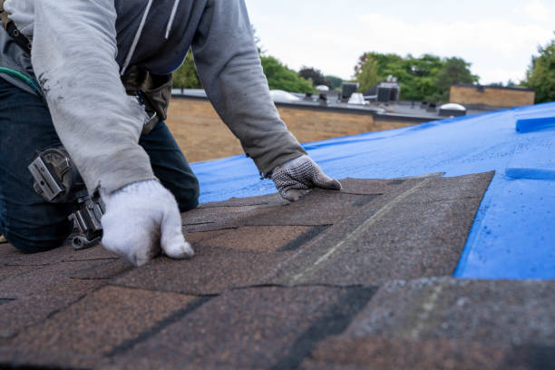 Best Metal Roofing Contractor  in Fortville, IN